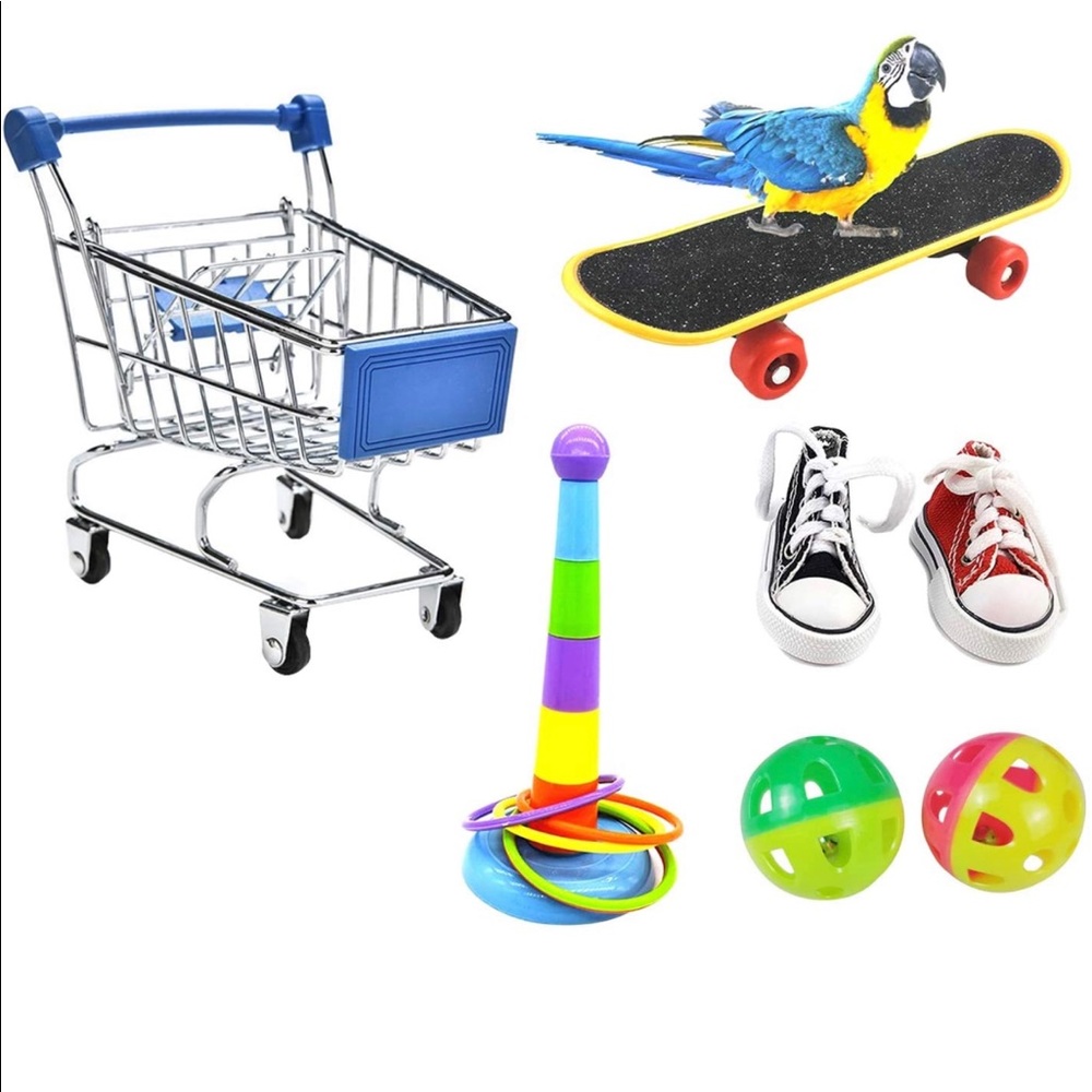 🦜🛹 (7 piece bird training toys! 🦜🛹